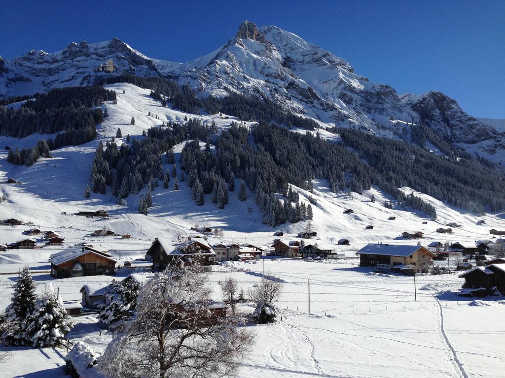 Chalet Butterfly Adelboden Phòng bức ảnh
