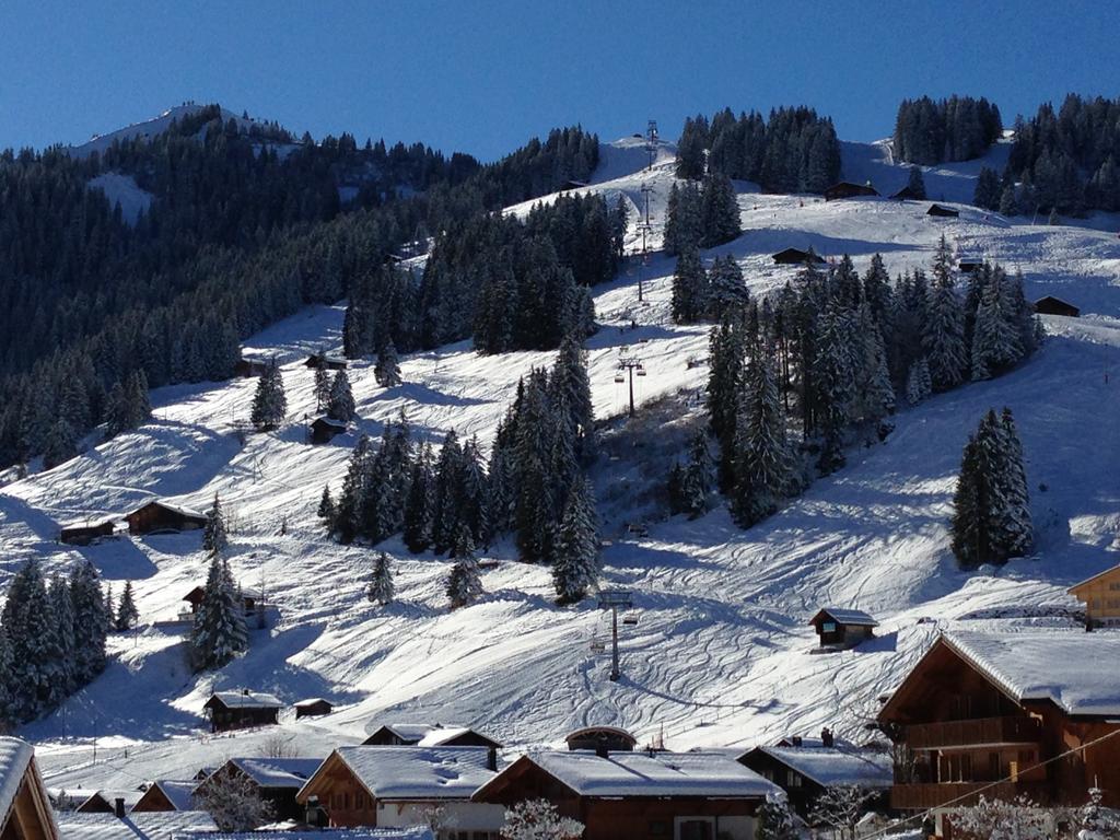 Chalet Butterfly Adelboden Phòng bức ảnh