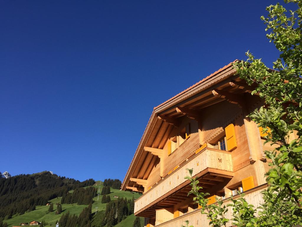 Chalet Butterfly Adelboden Ngoại thất bức ảnh